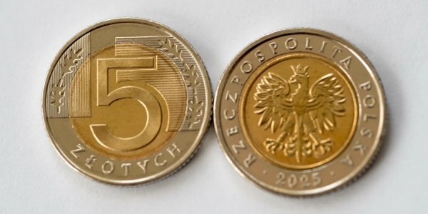 Rządowe eldorado dla samorząd&oacute;w. Gmina na Lubelszczyźnie dostała... całe 5 złotych.
