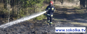 NA SYGNALE: Pożar trawy i wyciek oleju