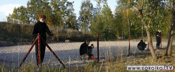 Nowe boisko do siatk&oacute;wki powstanie dzięki inicjatywie uczni&oacute;w
