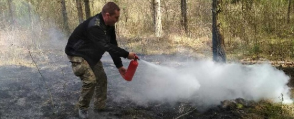 NA SYGNALE: Kolejny pożar przez zerwane linie energetyczne [Zdjęcia]