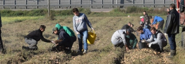 Pracowali w świetnych humorach [Zdjęcia]