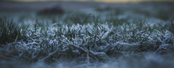 Dziś w nocy wraca zima. IMGW wydał ostrzeżenia przed niskimi temperaturami