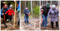 „Posadźmy razem drzewo” – II edycja akcji w gminie Suchowola