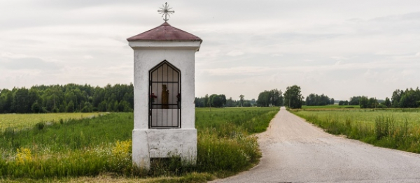 Są słupowe, domkowe oraz na drzewach [Zdjęcia]