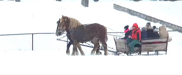 Kulig na Stadionie w najbliższą niedzielę [Film]