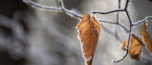 Prognoza pogody na nowy tydzień