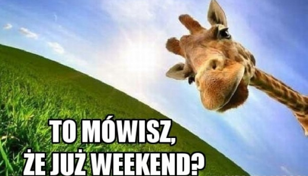 Co czeka nas w ten WEEKEND w powiecie sokólskim