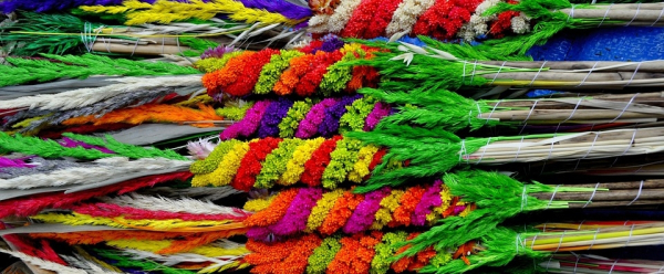 Warsztaty rękodzielnicze &ndash; stw&oacute;rz własną palmę wielkanocną