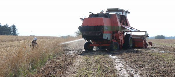 Pożar Kombajnu w Brzozowie [Film, Zdjęcia]