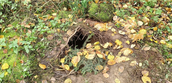 Kolejny podkop na polsko-białoruskiej granicy
