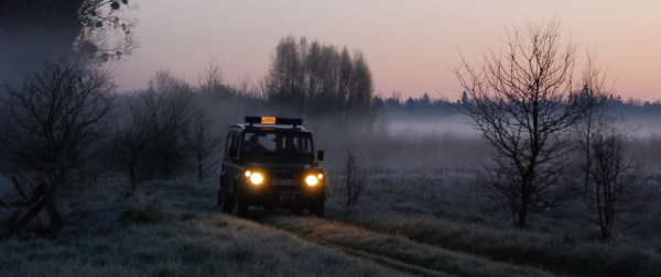 Zatrzymano grupę nielegalnych migrantów