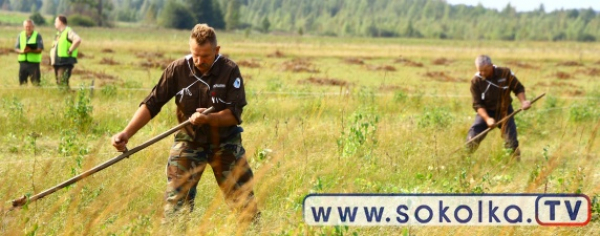 XIV Mistrzostwa Świata w koszeniu bagiennych łąk dla przyrody [Zdjęcia i Film]