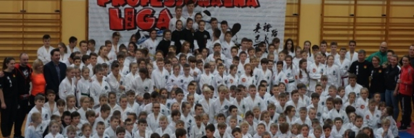 &quot;Profesjonalne&quot; trzecie miejsce Ligi Taekwon-do [Zdjęcia]