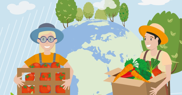 Dw&oacute;ch na trzech Polak&oacute;w przyznaje się do marnowania jedzenie - raport Bank&oacute;w Żywności