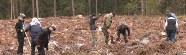 Wspólne sadzenie drzew w Gminie Suchowola [Film]