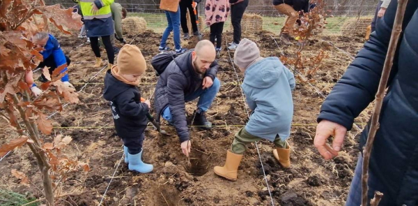 Mikrolasy Miyawaki - japoński koncept ratunkiem dla polskich miast