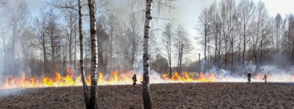 NA SYGNALE: Pożar trawy w m. Trzyrzeczki [Zdjęcia]