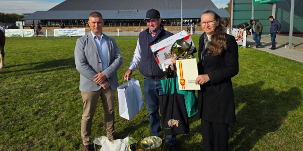Konie z powiatu sok&oacute;lskiego na podium podczas 70. Wystawy&ndash;Sprzedaży Ogier&oacute;w Zimnokrwistych w Szepietowie