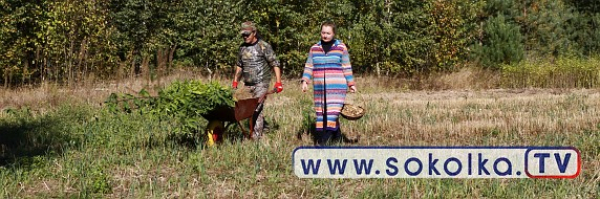 Pora na topinambur , pyszne i zdrowe warzywo rodem z Ameryki Południowej [Film i Zdjęcia]