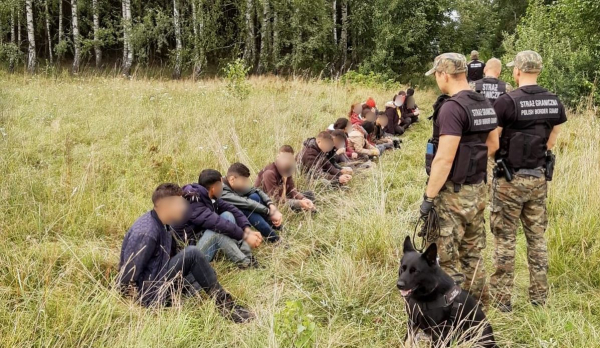 Duże grupy nielegalnych migrantów na polsko-białoruskiej granicy [Zdjęcia]