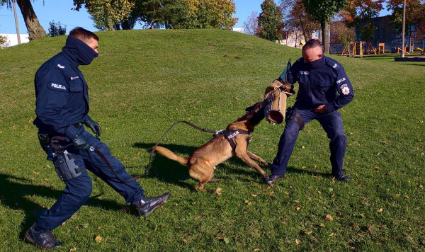 Sokólscy policjanci z wizytą u przedszkolaków [Zdjęcia]