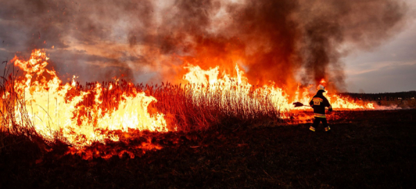 Prokuratura wszczęła śledztwo w sprawie przyczyn i okoliczności pożaru nad Biebrzą