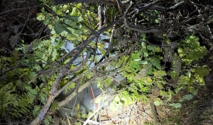 Balony meteorologiczne z nielegalną przesyłką.