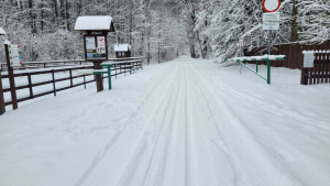 Trasy narciarstwa biegowego przygotowane w Biebrzańskim Parku Narodowym