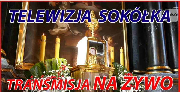 Triduum Paschalne: Liturgia Święta w Wielki Piątek [TRANSMISJA NA ŻYWO]