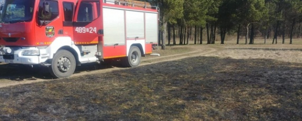 NA SYGNALE: Pożar trawy w Chilmonach [Zdjęcia]