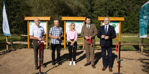 &bdquo;Wilczym Tropem Janowskim&rdquo; &ndash; tutaj pamięć ma swoje drzewa.