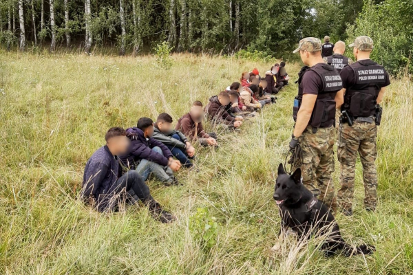 Coraz więcej migrantów próbuje przekroczyć polsko-białoruską granicę - nowe dane MSWiA