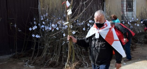 Po patriotyczne „Jabłonie Ewy” od rana ustawiały się kolejki chętnych