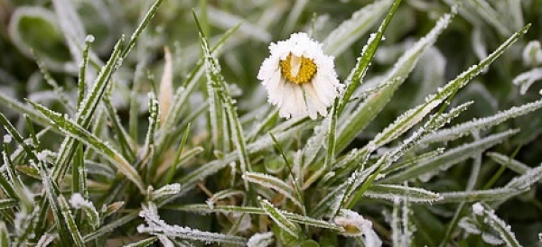 Ostrzeżenie meteo: Jutro czeka nas poranny przymrozek