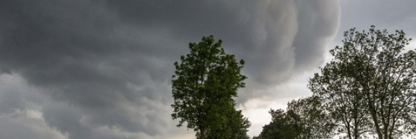 Uwaga na silny wiatr. Ostrzeżenie meteorologiczne